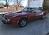 1974 Pontiac Trans Am for sale 101492049